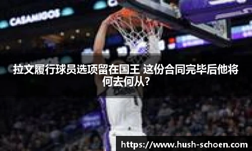 拉文履行球员选项留在国王 这份合同完毕后他将何去何从？